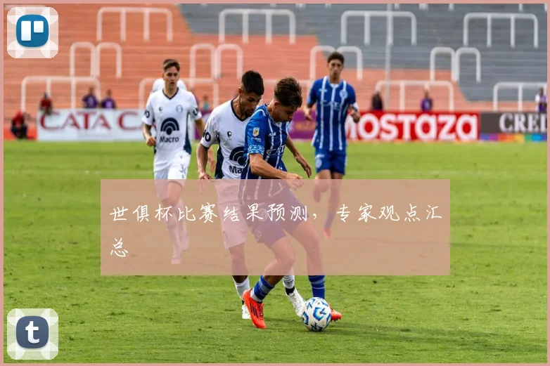 世俱杯比赛结果预测，专家观点汇总