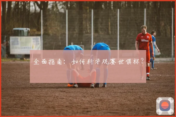 全面指南：如何科学观赛世俱杯？