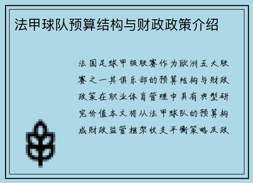 法甲球队预算结构与财政政策介绍